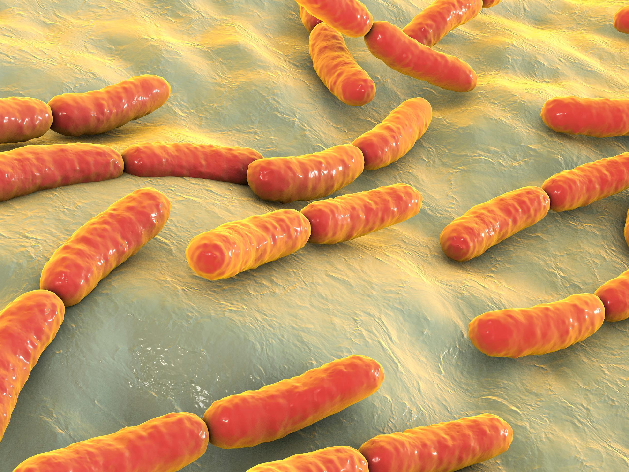 Envirotech+ Hospital Grade Anti-Microbial